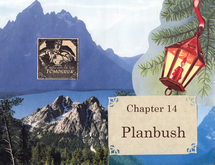 Chapter 14 – Planbush