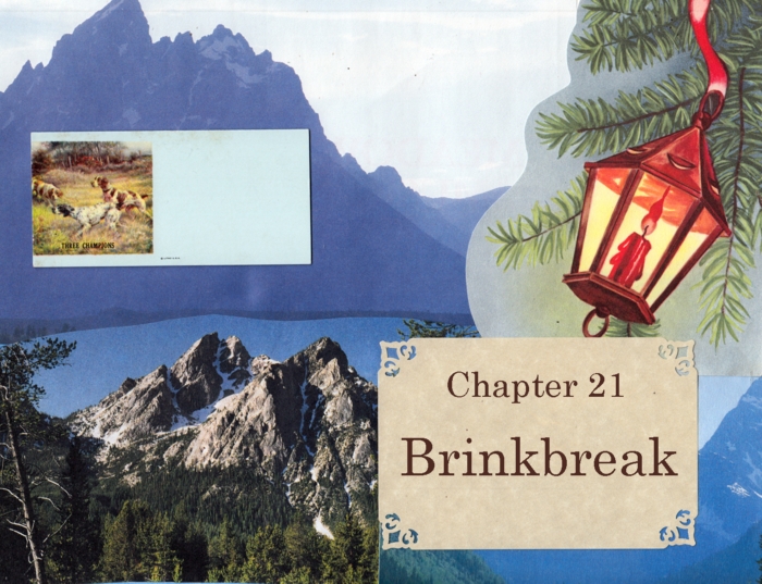 Chapter 21 – Brinkbreak