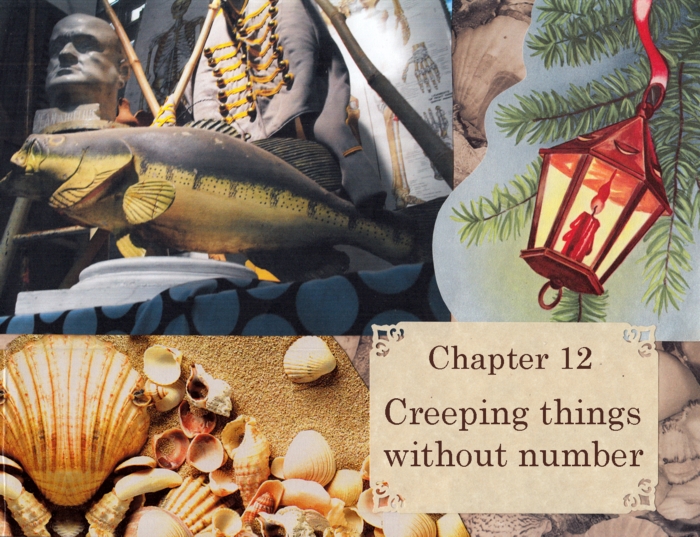 Chapter 12 – Creeping things without number