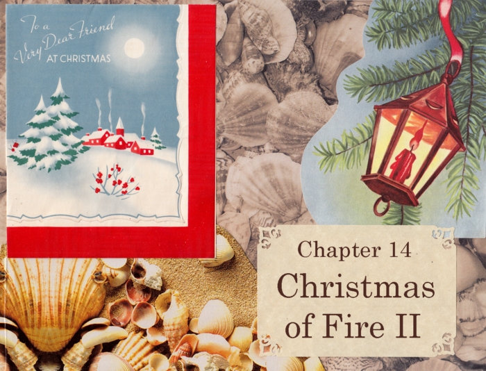 Chapter 14 – Christmas of Fire II